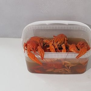 Раки вареные, 1кг